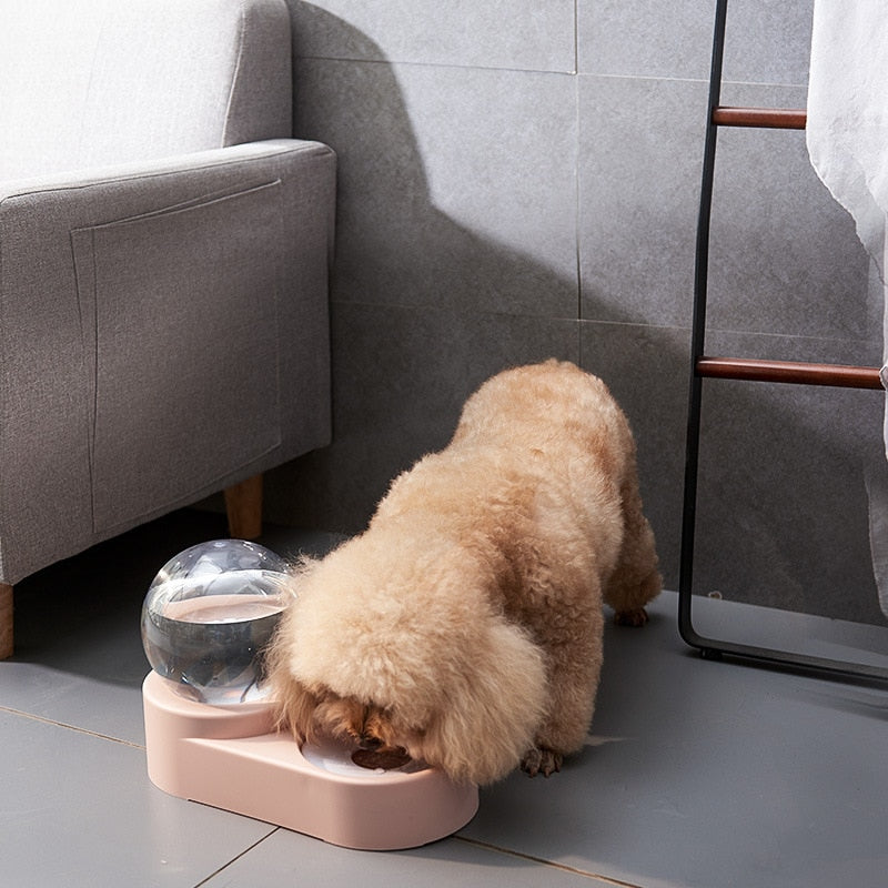 Automatic Pet Feeder and with Bowl - Pet Ease Shop